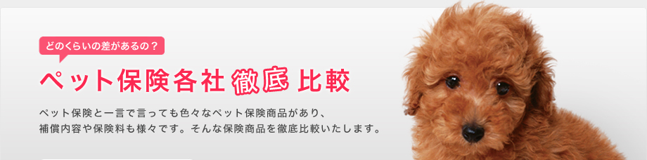 ペット保険徹底比較ペット保険