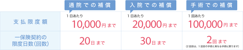 支払限度額