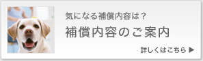 気になる保障内容は？保障内容のご案内