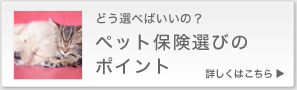 ペット保険選びのポイント