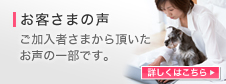 お客さまの声