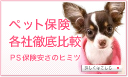 ＰＳ保険安さのヒミツ