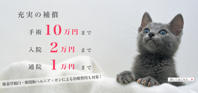 補償内容