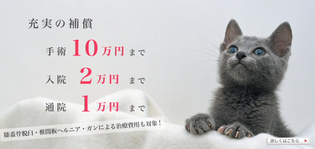 補償内容　手術10万円まで　入院2万円まで　通院１万円まで　膝蓋骨脱臼・椎間板ヘルニア・ガンによる治療費用も対象