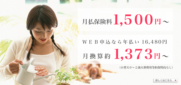 保険料１５００円～（小型犬０～２歳火葬費用等担保特約なし）をいれたい。ＷＥＢ申込なら年払い16480円　月換算約１３７３円
