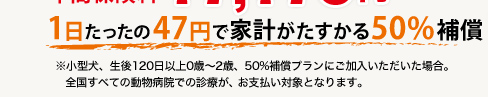 1日たったの47円で充実の半額補償はPS保険ならでは