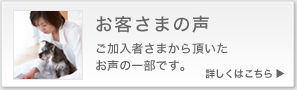 お客さまの声