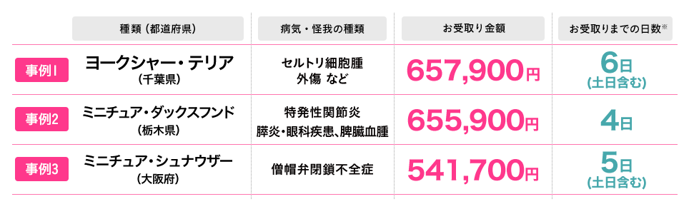 2017年1月1日~2017年11月30日までの保険金 高額お受取り事例