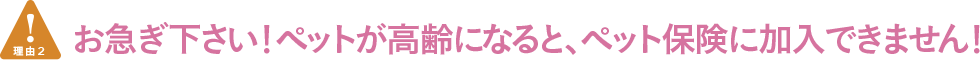 お急ぎ下さいペットが高齢になると、ペット保険に加入できません!