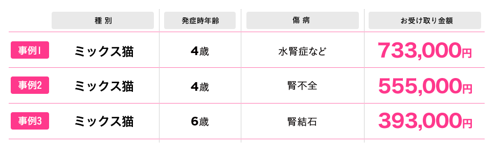 保険金 高額お受取り事例イメージ