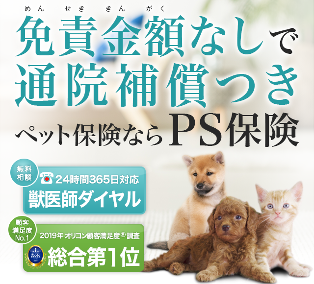 ランキング入賞・受賞多数
