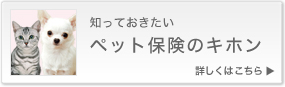 知っておきたい ペット保険のキホン