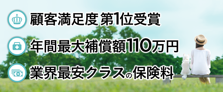 top.png