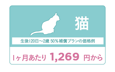 /uploads/2016/09/21/price_cat.png