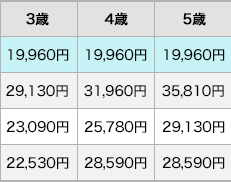 年齢毎の各社保険料比較表2