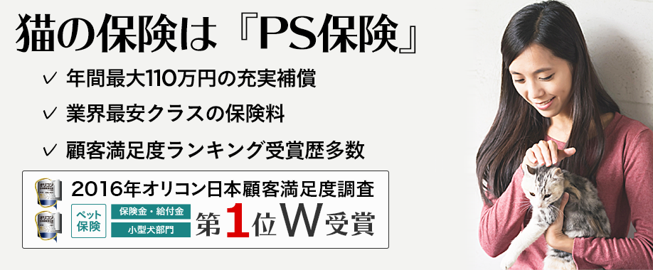notecat-top_pc.png