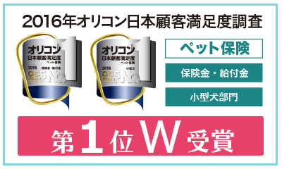 oricon.png