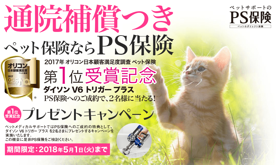 キャンペーン実施中!