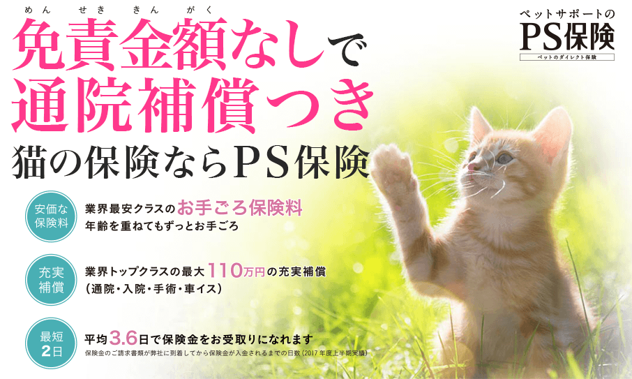 免責金額なしで通院保証つき猫の保険ならPS保険