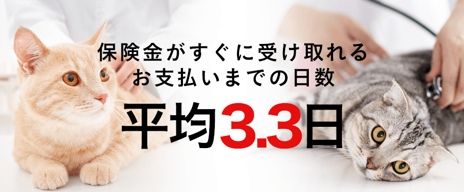 保険金がすぐに受け取れる お支払までの日数 平均3.3日