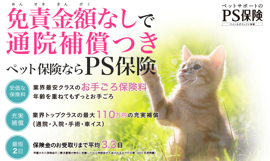 免責金額なしで通院保証つき猫の保険ならPS保険