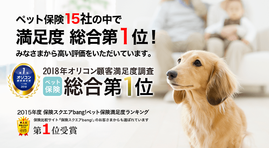 ペット保険13社の中で満足度第1位!みなさまから高い評価をいただいています。