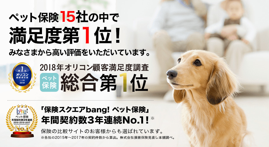 ペット保険13社の中で満足度第1位!みなさまから高い評価をいただいています。
