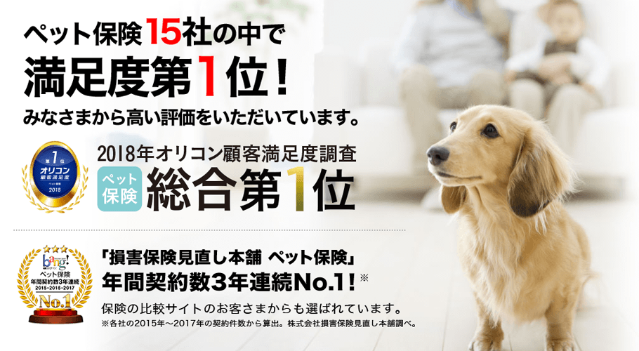 ペット保険13社の中で満足度第1位!みなさまから高い評価をいただいています。
