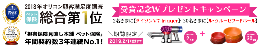 第一位受賞記念プレゼントキャンペーン実施中!