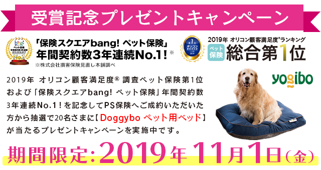 2019年 オリコン顧客満足度® ランキング ペット保険 第1位受賞記念 プレゼントキャンペーン実施中!