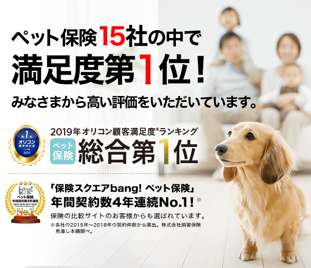 ペット保険13社の中で満足度第1位!みなさまから高い評価をいただいています。
