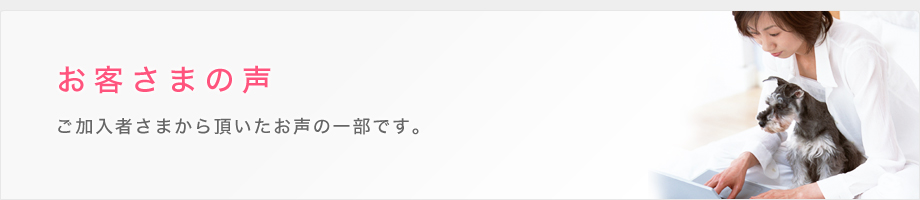 お客さまの声