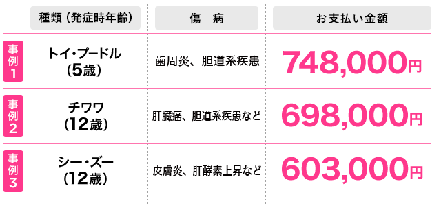 2022年4月1日～2023年3月31日までの犬の保険金お支払い事例