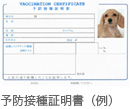 予防接種証明書(例)