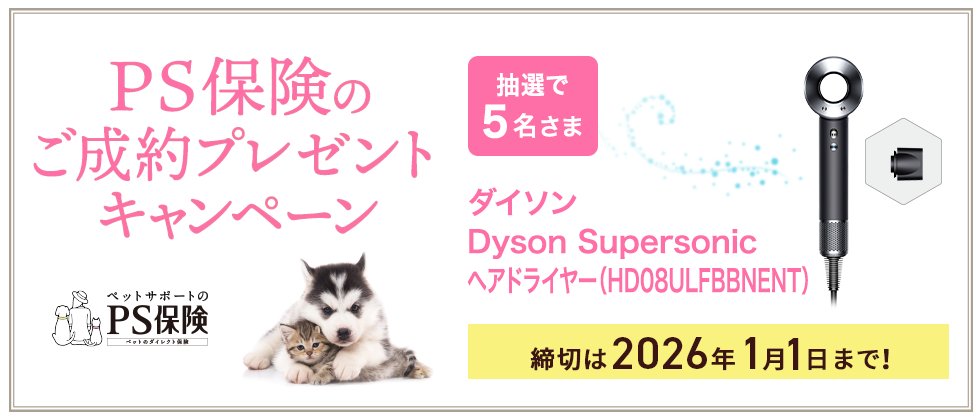 プレゼントキャンペーン