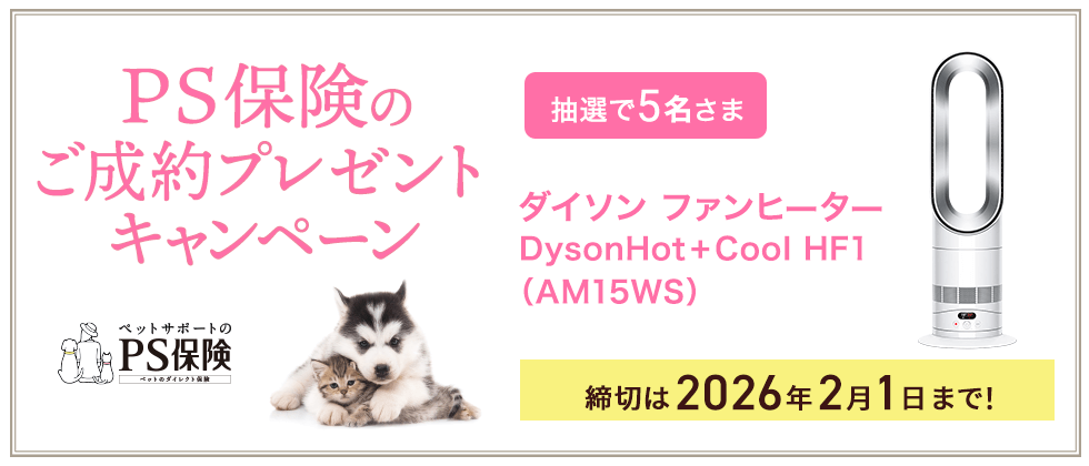 プレゼントキャンペーン