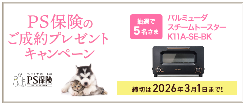 プレゼントキャンペーン