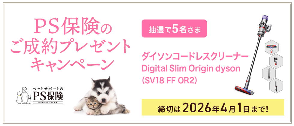 プレゼントキャンペーン