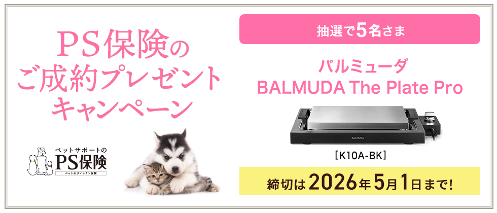 プレゼントキャンペーン