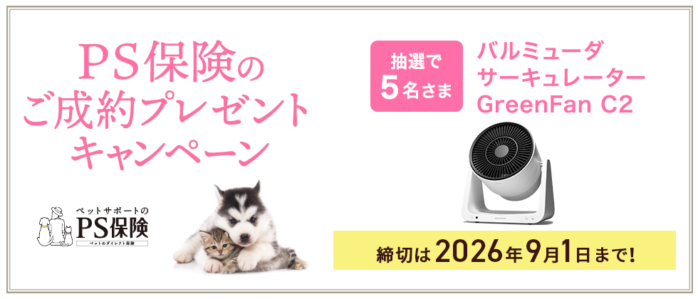 プレゼントキャンペーン