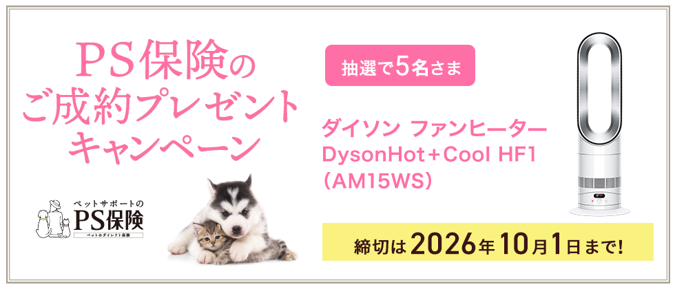 プレゼントキャンペーン