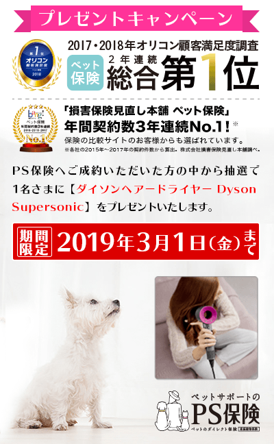 19年2月 プレゼントキャンペーンのお知らせ お知らせ ペット保険の Ps保険 少額短期保険ペットメディカルサポート株式会社