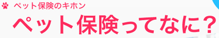 �y�b�g�ی��̃L�z��