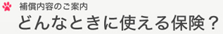 �⏞���e�̂��ē�