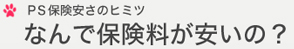 PS�ی������̃q�~�c