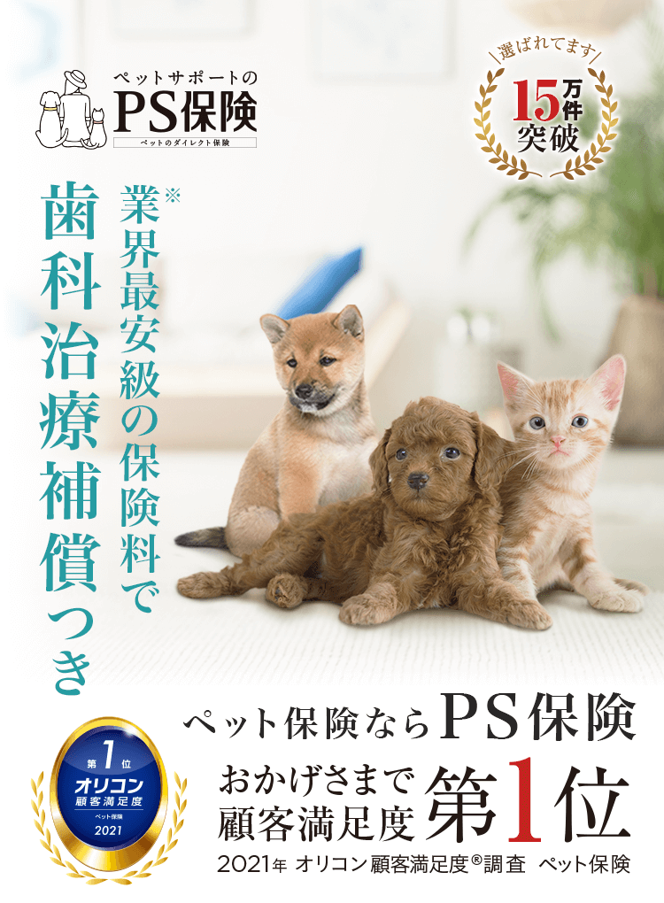 5年後、10年後も、業界最安級の保険料