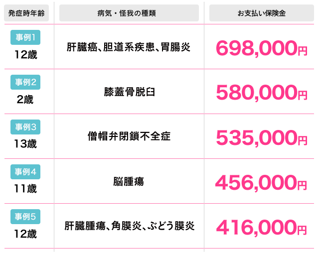 チワワの高額な診療費事例