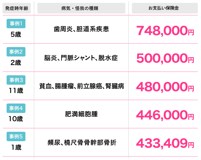 トイ・プードルの高額な診療費事例