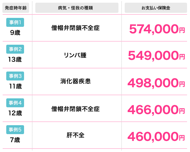 チワワの高額な診療費事例