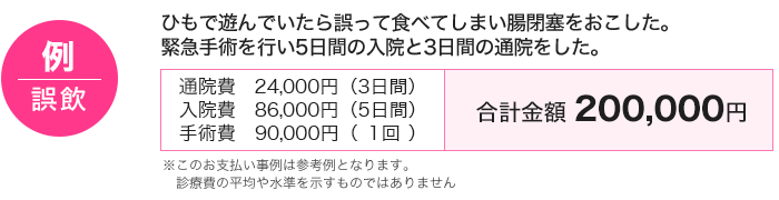 例:誤飲 ひもで遊んでいたら誤って食べてしまい腸閉塞をおこした。緊急手術を行ない5日間の入院と3日間の通院をした 通院費・入院費・手術費の合計金額200,000円